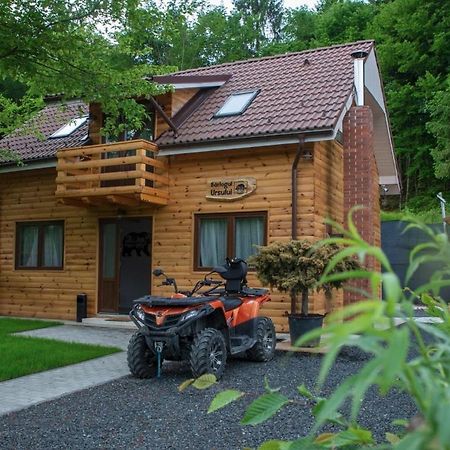 Bear'S Lair Chalet برومباكو دو سوز المظهر الخارجي الصورة